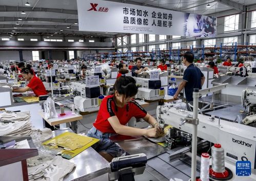 新華全媒 | 從家庭作坊到現(xiàn)代化工廠(chǎng)，從鄉(xiāng)鎮(zhèn)企業(yè)到國(guó)際知名企業(yè)——探訪(fǎng)福建晉江民營(yíng)企業(yè)的管理密碼
