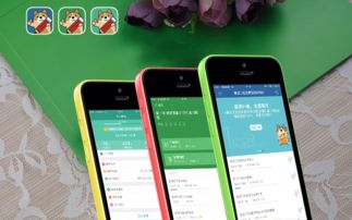 鼎維 教育軟件定制及系統開發公司